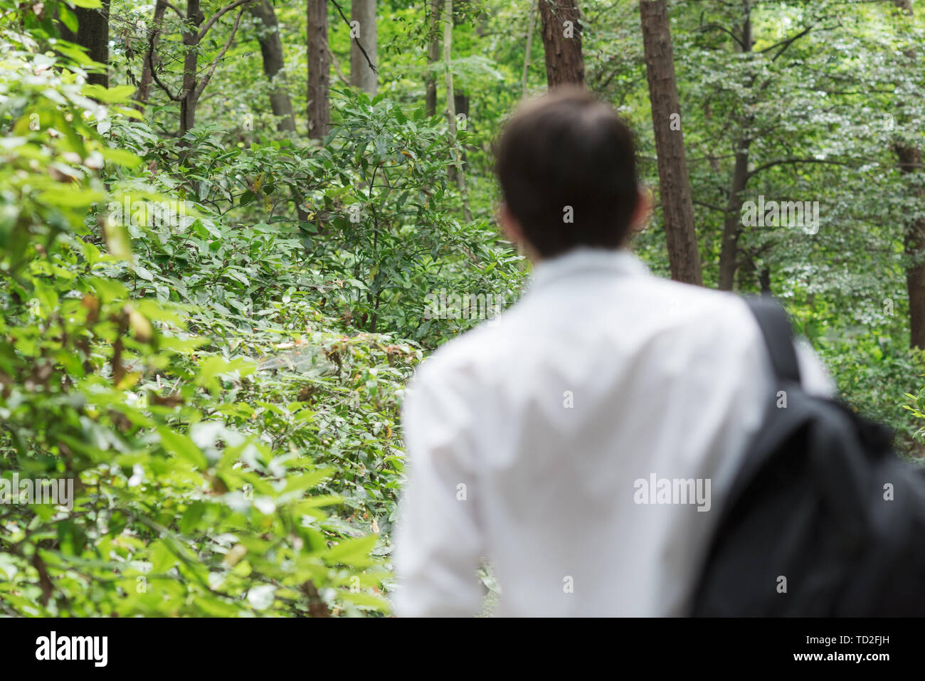 Giovane uomo è sempre lontano dalla zona urbana di andare hicking nella foresta Foto Stock