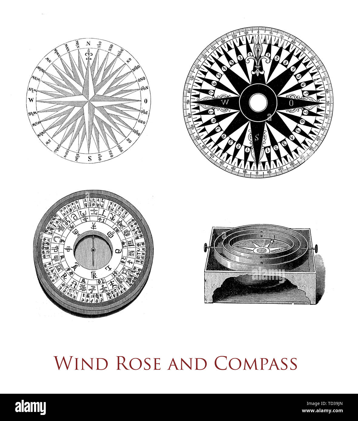 Strumenti di navigazione: rosa dei venti, cinese e bussola rosa dei venti.  La rosa dei venti è utilizzato dai meteorologi per determinare come la  velocità e la direzione del vento sono distribuiti