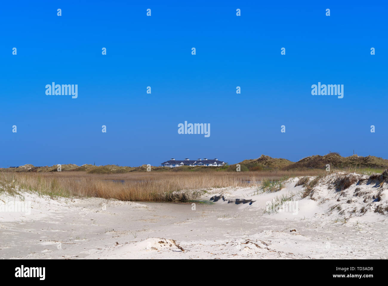Vista panoramica sull'erba ricoperta di sabbia a complesso edilizio nella distanza. Vista da una splendida spiaggia del Mare del Nord in Sankt Peter-Ording Foto Stock