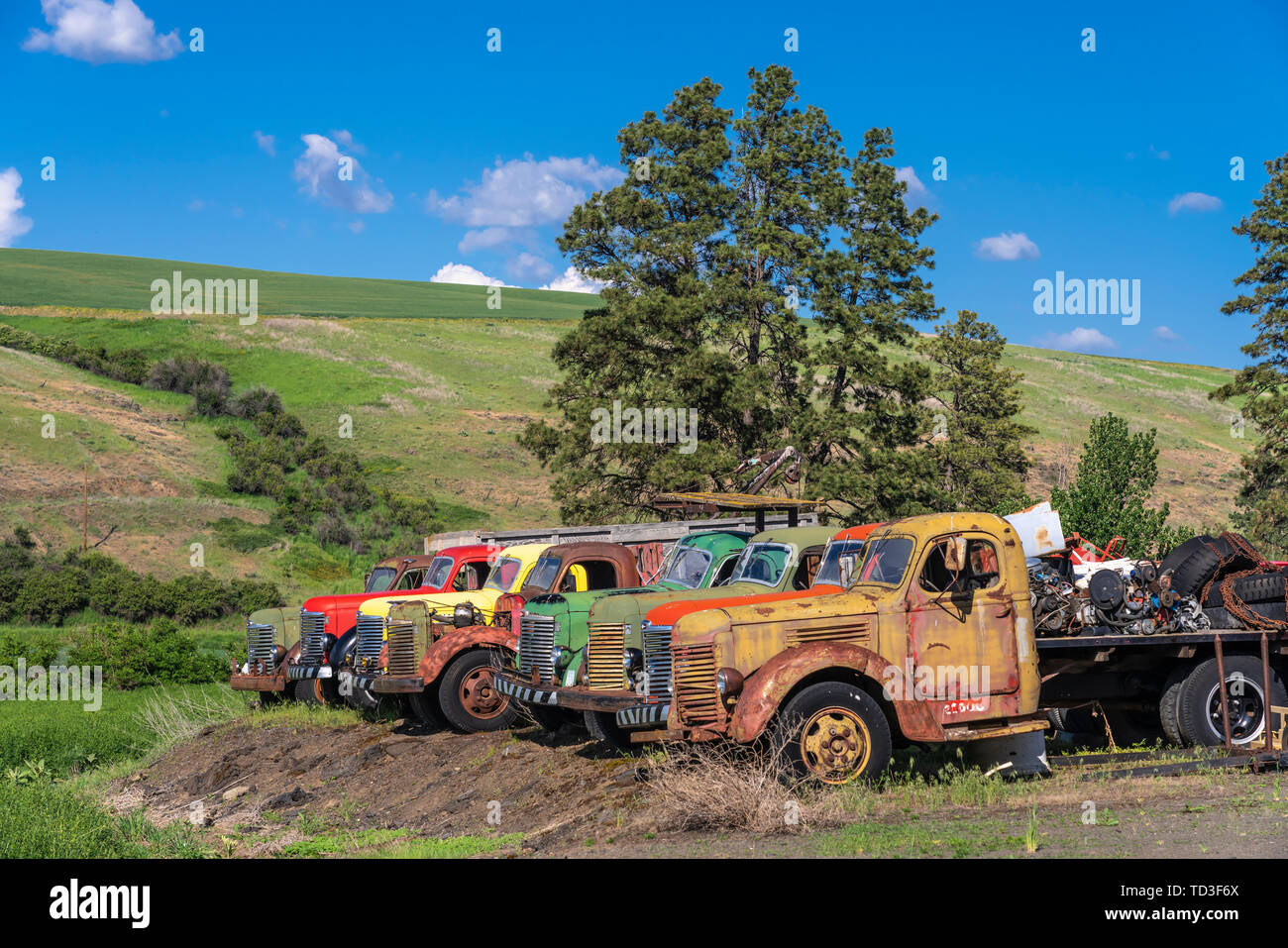 Vecchia fattoria i camion in una fattoria in Whitman County, Palouse, Washington, Stati Uniti d'America. Foto Stock