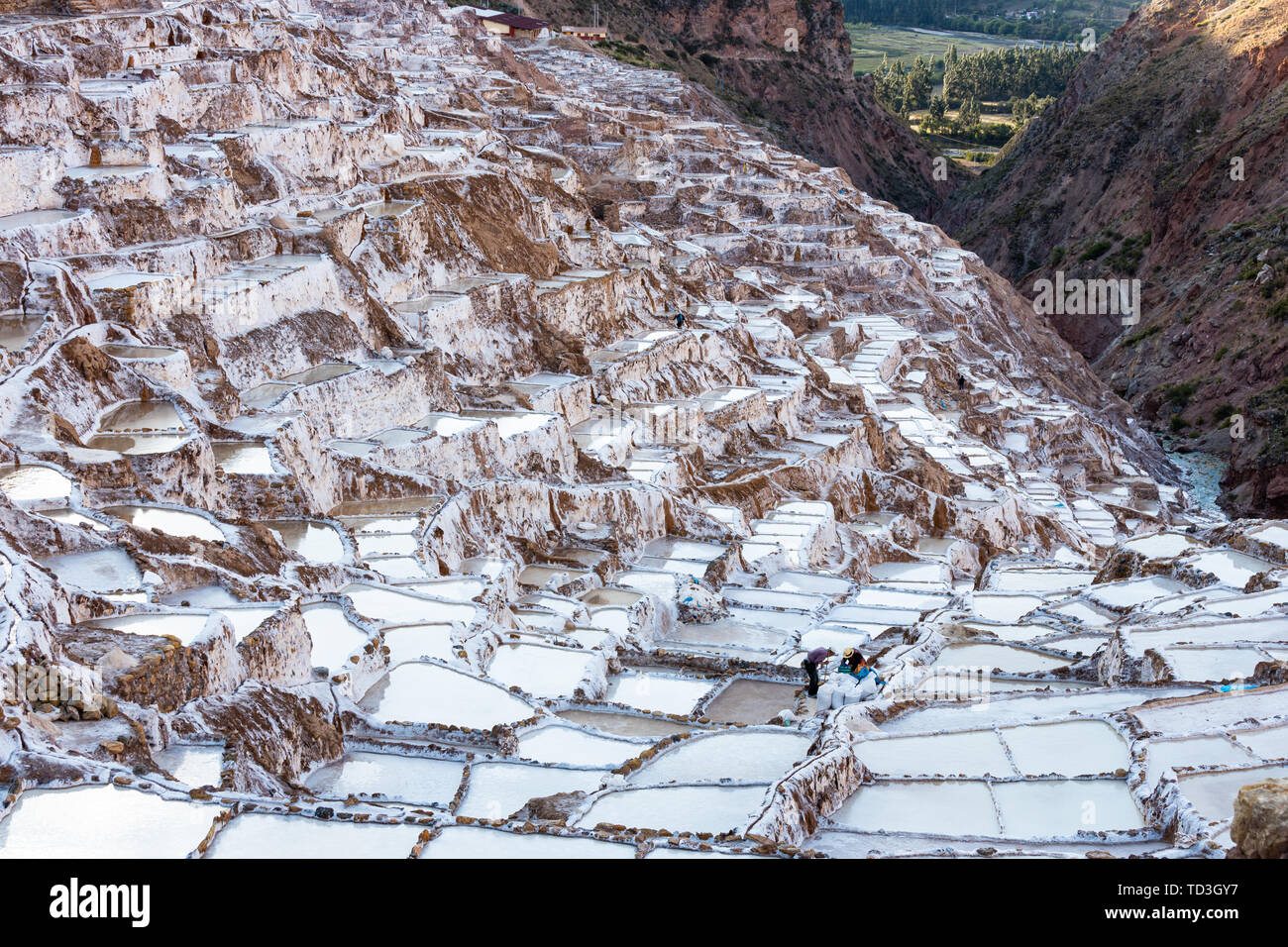 Maras Saline in Perù la Valle Sacra dove la popolazione locale miniera di sale da secoli Foto Stock