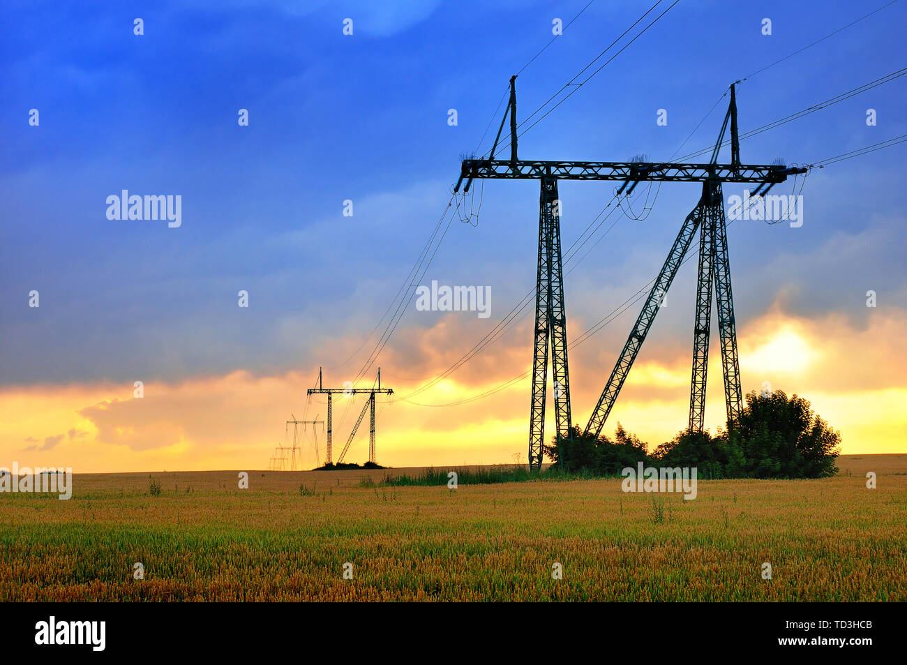 La potenza elettrica tralicci nel campo coltivato contro vivid Cielo di tramonto Foto Stock