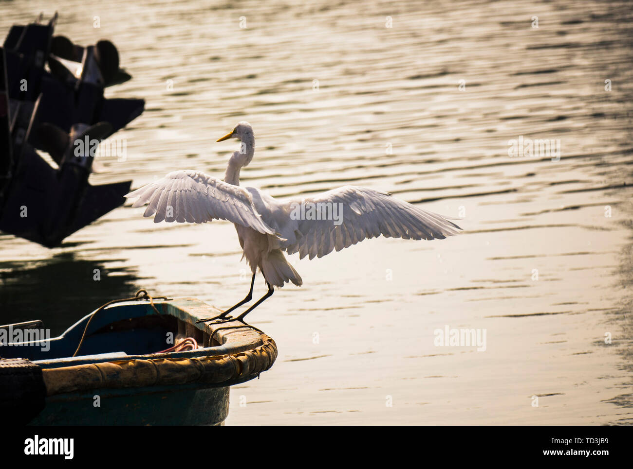 Bellissima vista di Shenzhen Foto Stock