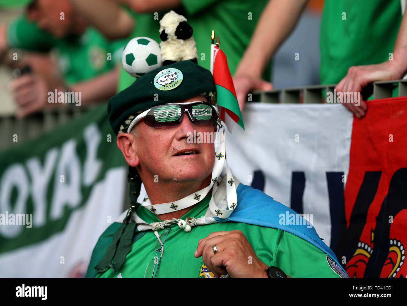 Irlanda del Nord i fan in gabbie prima di UEFA EURO 2020 qualifica, gruppo C corrispondono a Borisov Arena. Foto Stock
