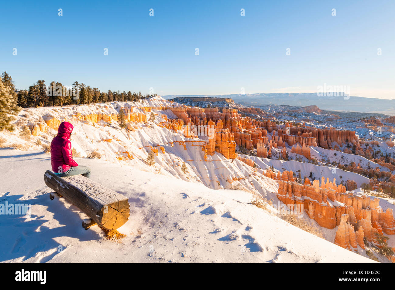 Parco Nazionale di Bryce Canyon, Utah, Stati Uniti d'America, America del Nord Foto Stock