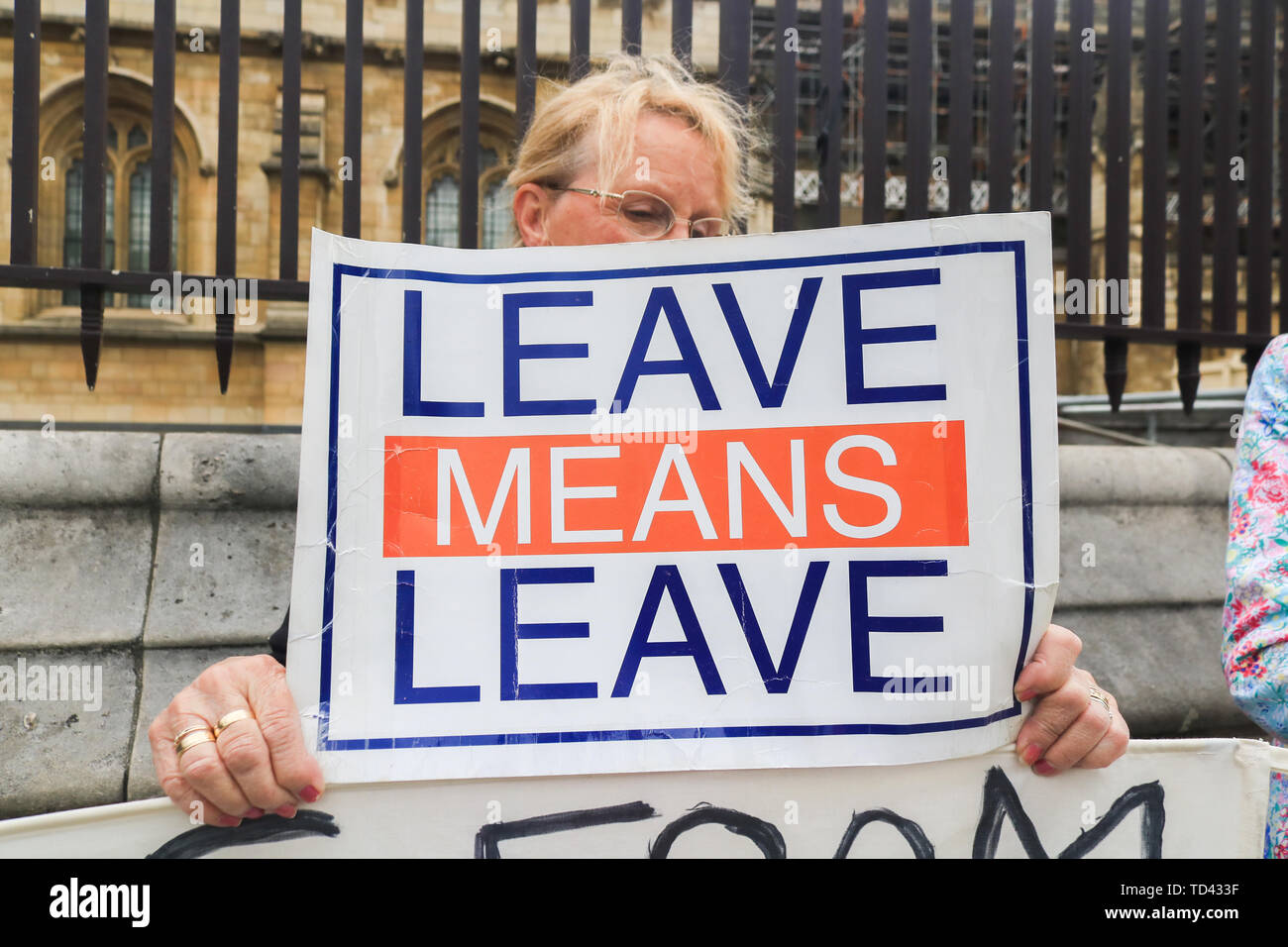 Un manifestante detiene un cartelli dicendo lasciare significa lasciare durante la dimostrazione. Protesta Brexit al di fuori della sede del Parlamento come il partito conservatore subisce un concorso di leadership di deicidio per un nuovo leader e il Primo Ministro con pesanti quote sul Pro Brexit capofila Boris Johnson per riuscire Theresa Maggio. Foto Stock