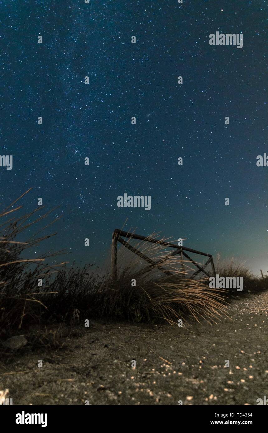 Paesaggio notturno con il percorso e il cielo stellato Foto Stock