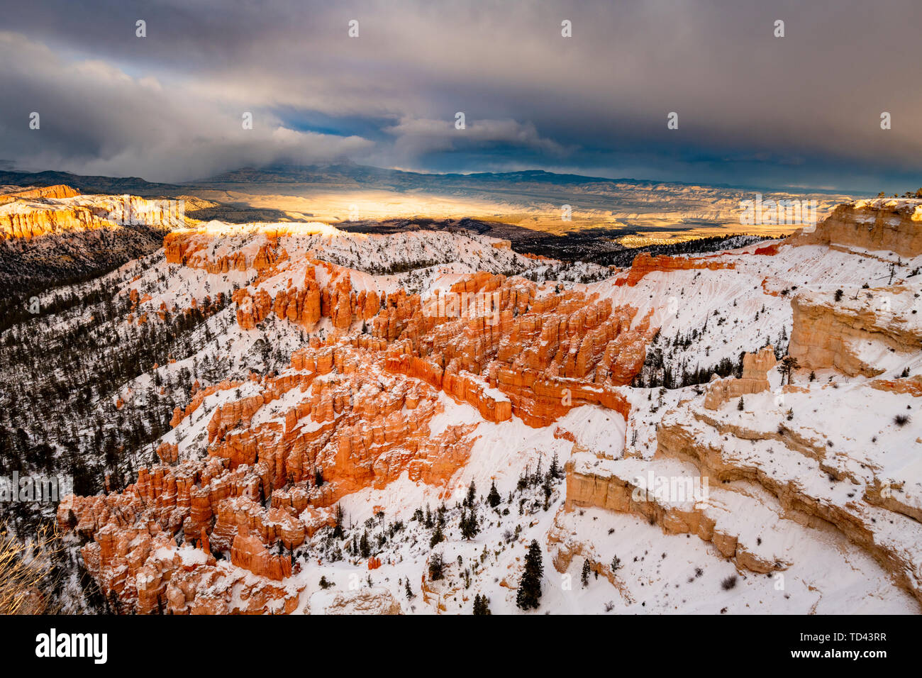 Parco Nazionale di Bryce Canyon, Utah, Stati Uniti d'America, America del Nord Foto Stock