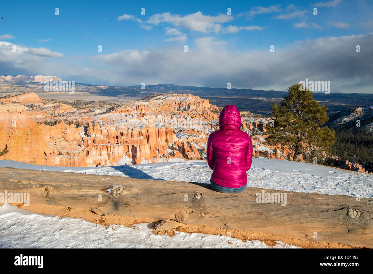 Parco Nazionale di Bryce Canyon, Utah, Stati Uniti d'America, America del Nord Foto Stock