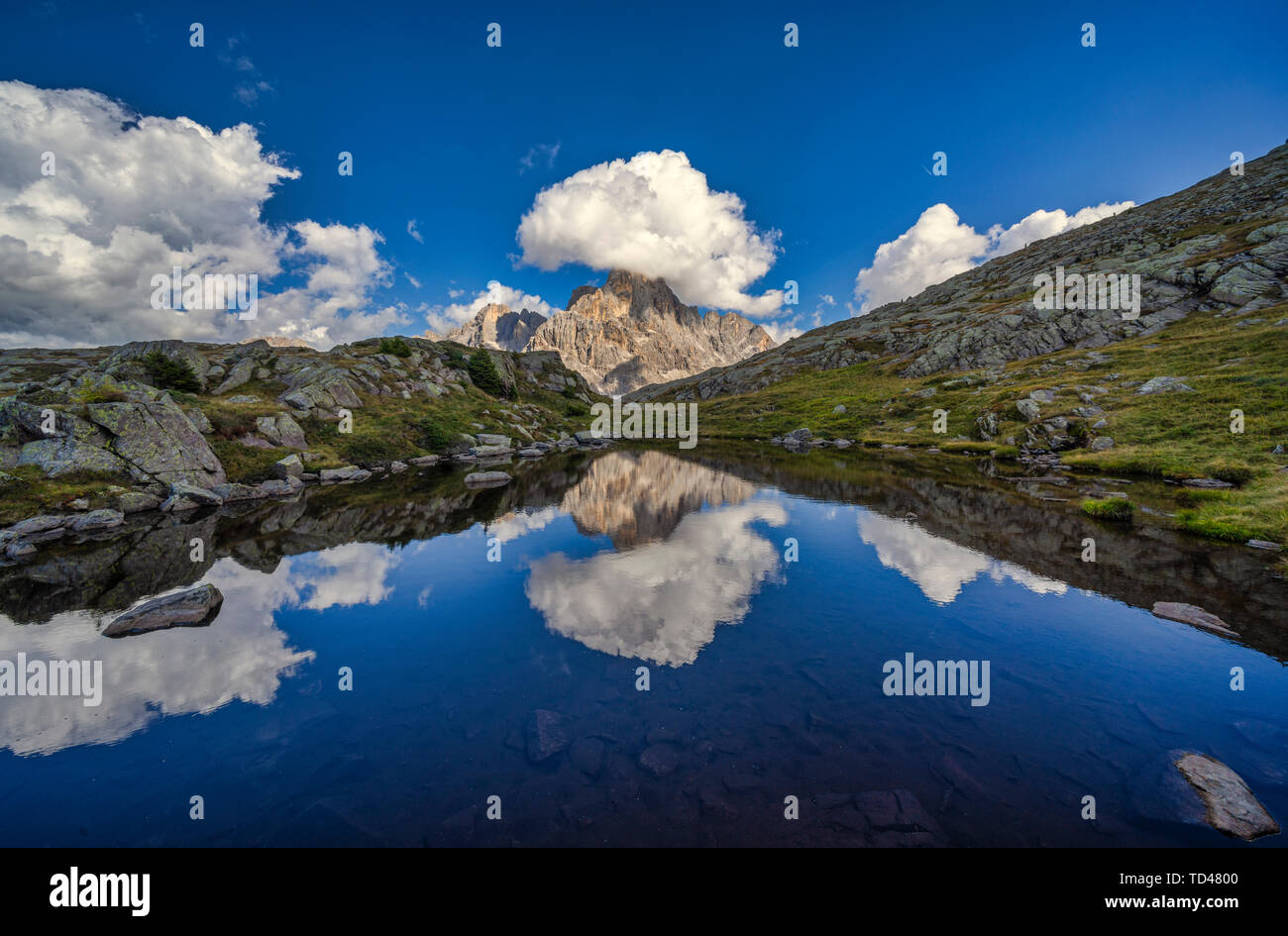 Passo Rolle, il Cimon de la pala si riflette in un piccolo lago, Dolomiti, Veneto, Italia, Europa Foto Stock