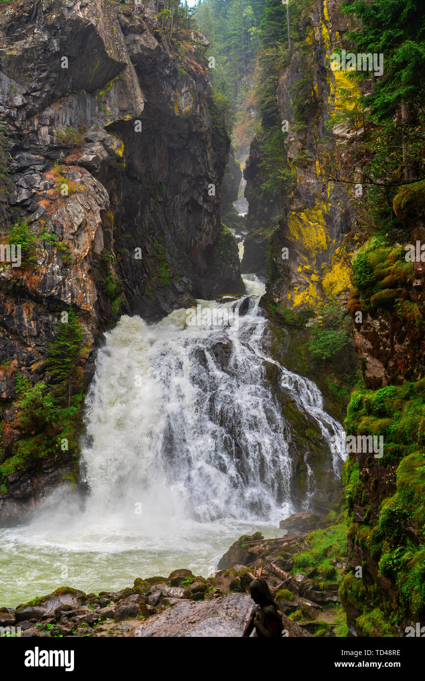 Le cascate di Riva in estate, Campo Tures, Valle Aurina, Trentino Alto Adige, Italia, Europa Foto Stock