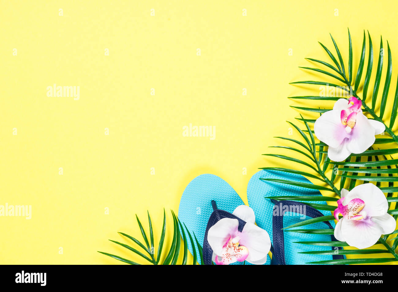 Tropical foglie di palma, flip flop e fiori di orchidea. Estate sfondo. Piano immagine di laici con copia spazio. Foto Stock