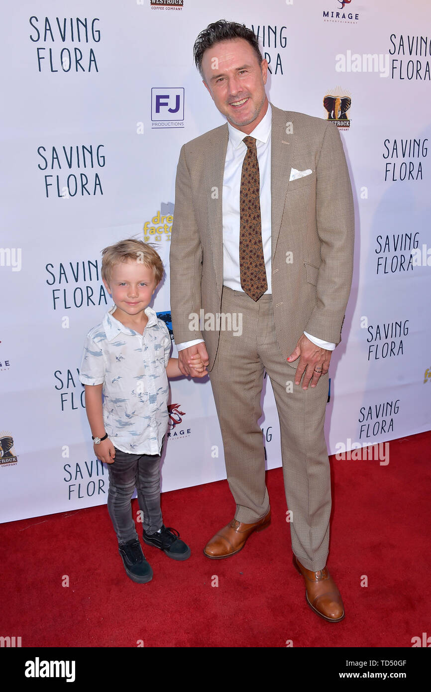 David Arquette con figlio Charlie West Arquette presso la premiere del film 'Salvataggio di Flora " presso il Landmark Regent Theatre. Los Angeles, 10.06.2019 | Utilizzo di tutto il mondo Foto Stock