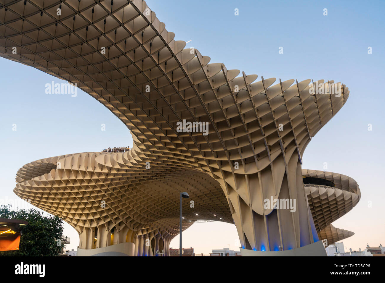La Setas de Sevilla, Metropol Parasol è una struttura in legno si trova presso La Encarnacion square al tramonto, Siviglia, in Andalusia, Spagna, Europa Foto Stock