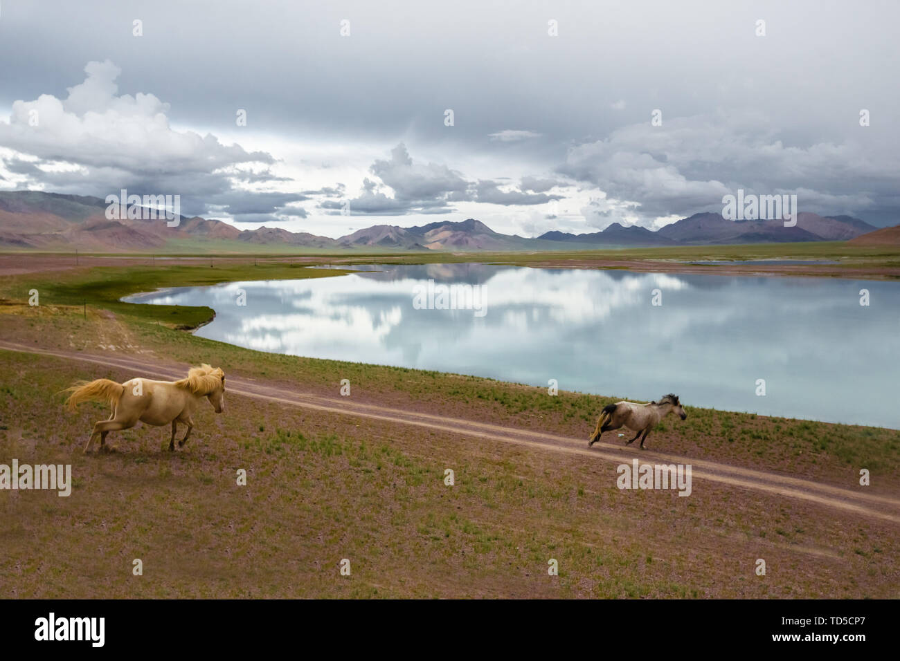 Della Cina di altopiano Tibetano montagne alpine e i laghi di cavalli in corsa, cielo blu e nuvole bianche Foto Stock