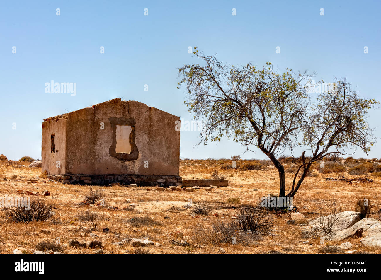 Vecchie e in disuso, agriturismo rovine nel sud deserto africano, a nord di springbok, Northern Cape, Sud Africa e Africa Foto Stock
