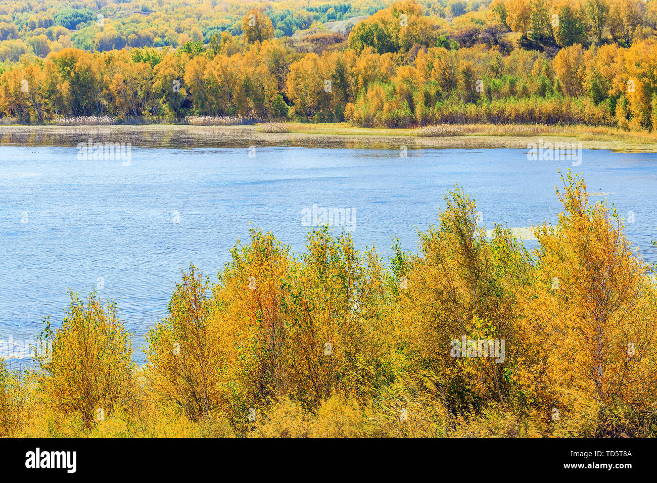 Colore di autunno di Taoshan lago sulla diga del paddock Foto Stock