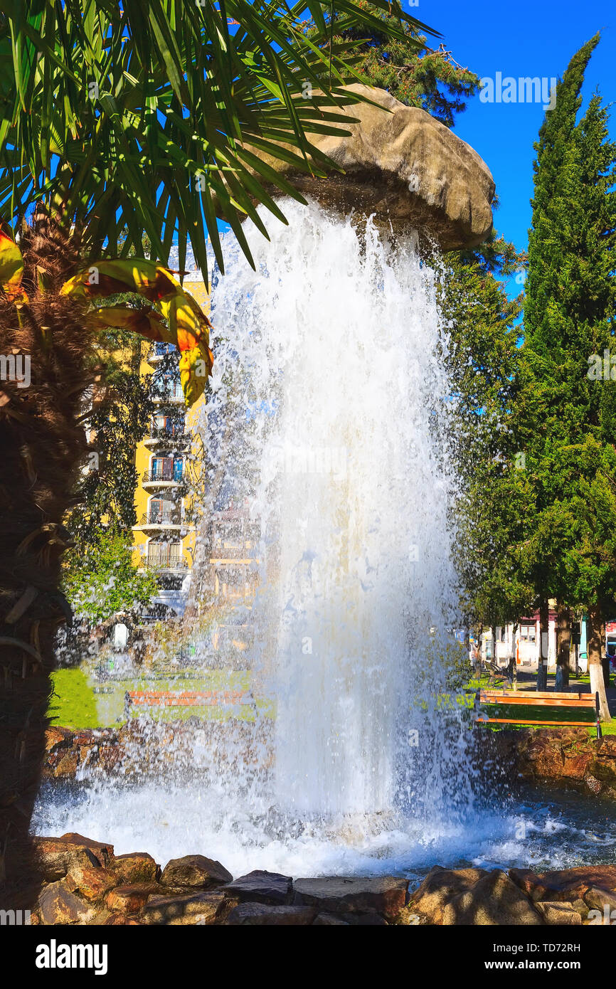 Batumi, Georgia, fontana e le palme in 6 maggio park Foto Stock