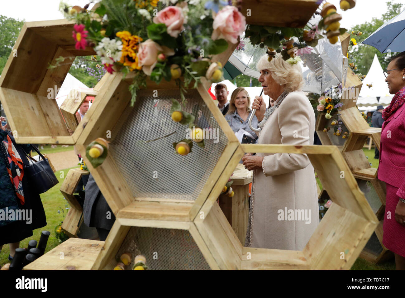 La duchessa di Cornovaglia sorge da un illustrazione sul McQueens Flower Scuola stand come ella assiste le api per lo sviluppo di API biennale Garden Party a Marlborough House, Londra. Foto Stock