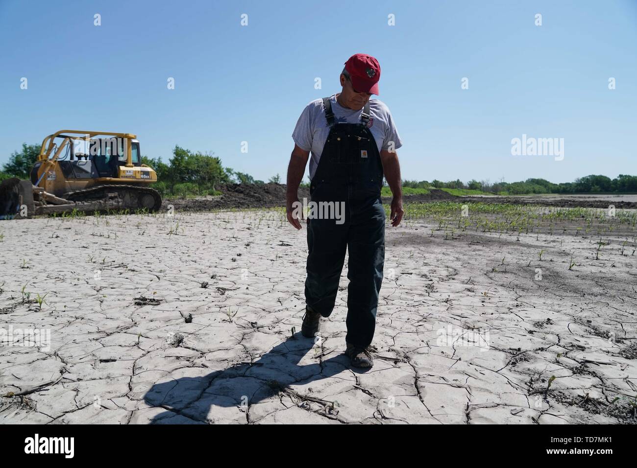 Missouri, USA. Decimo Giugno, 2019. Blake Hurst, presidente del Missouri Farm Bureau, anche un mais e soia agricoltore Tarkio, Northwest Missouri, passeggiate sulla sua pioggia-campi danneggiati in Tarkio, Missouri, Stati Uniti, 10 giugno 2019. Per andare con funzione: gli agricoltori del Midwest devastato da inondazioni storiche, USA-Cina le tensioni commerciali Credito: Liu Jie/Xinhua/Alamy Live News Foto Stock