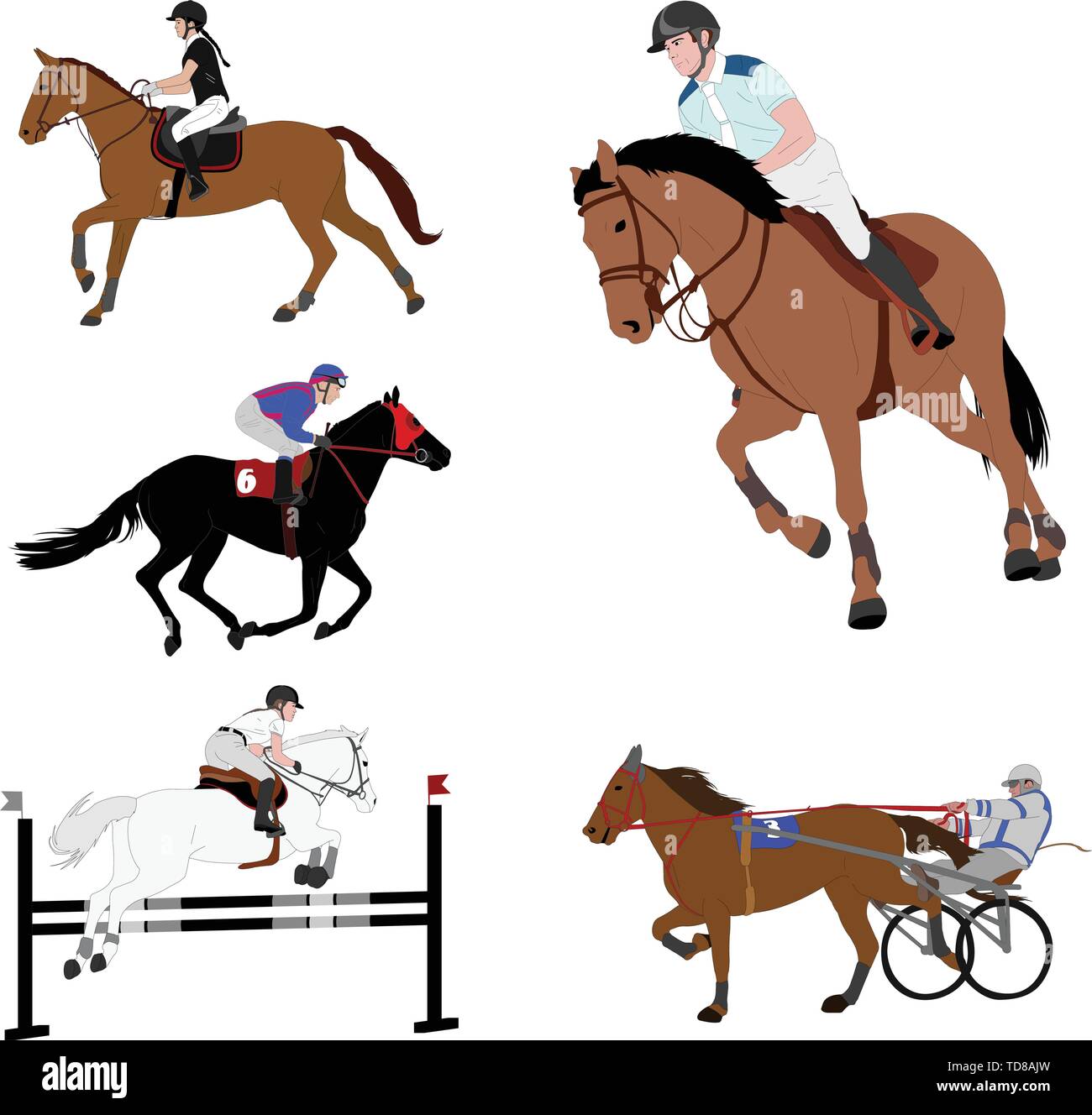 Sport Equestri. dressage,jump visualizza,galoppo,cablaggio racing - vettore Illustrazione Vettoriale