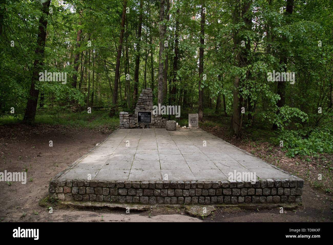 Uno di almeno 39 tombe di massa di 5000 a 7000 civili, soprattutto gli intellettuali polacca (nazionale attivisti, insegnanti, sacerdoti) da Kociewie, Kaszuby un Foto Stock