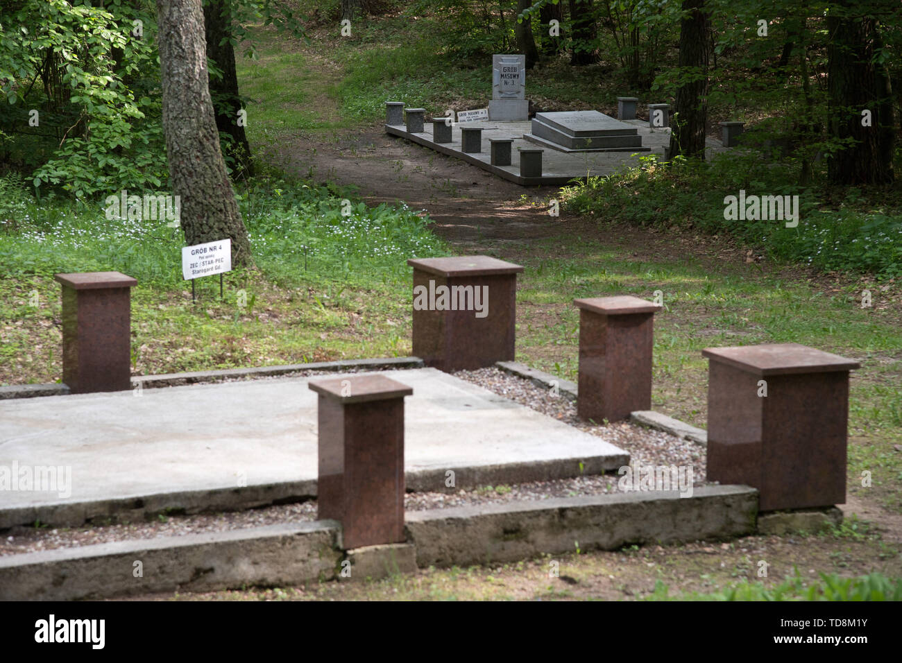 Uno di almeno 39 tombe di massa di 5000 a 7000 civili, soprattutto gli intellettuali polacca (nazionale attivisti, insegnanti, sacerdoti) da Kociewie, Kaszuby un Foto Stock