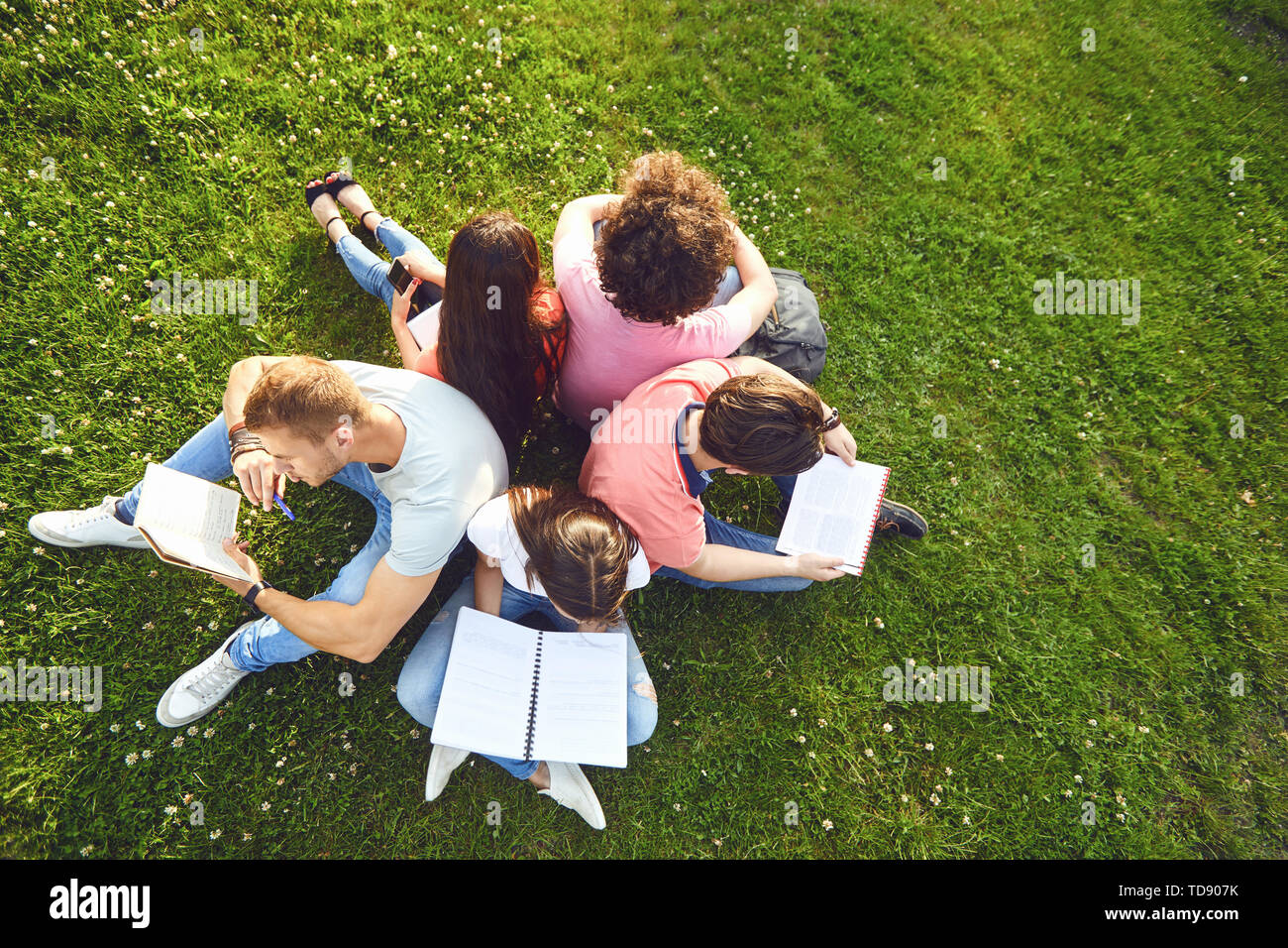 Gli studenti studiano seduti sul prato verde in un parco in estate a molla. I giovani con i libri sul prato. Foto Stock
