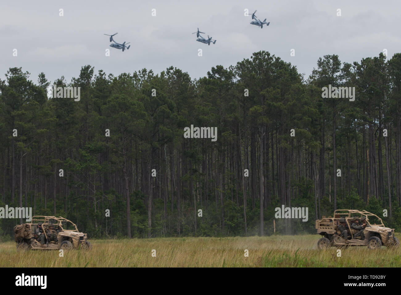 Stati Uniti Marine Corps MV-22 Asprì e Polaris MRZR 4 veicoli partecipano in esercizio il luccio di acciaio al Marine Corps Outlying Field Camp Davis Nord, Nord Carolina, 11 giugno 2019. Gli aerei sono una parte del mezzo marino Tiltrotor Squadron (VMM) 162, Marine Aircraft Group 26, 2° velivolo marino ala. (U.S. Marine Corps photo by Lance Cpl. Elias E. Pimentel) Foto Stock