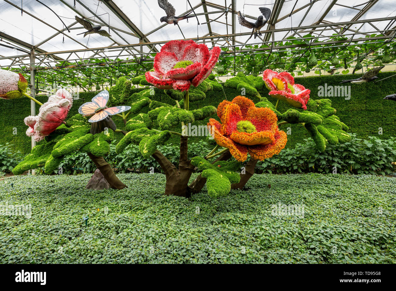 Food Expo Exhibition paesaggio Foto Stock