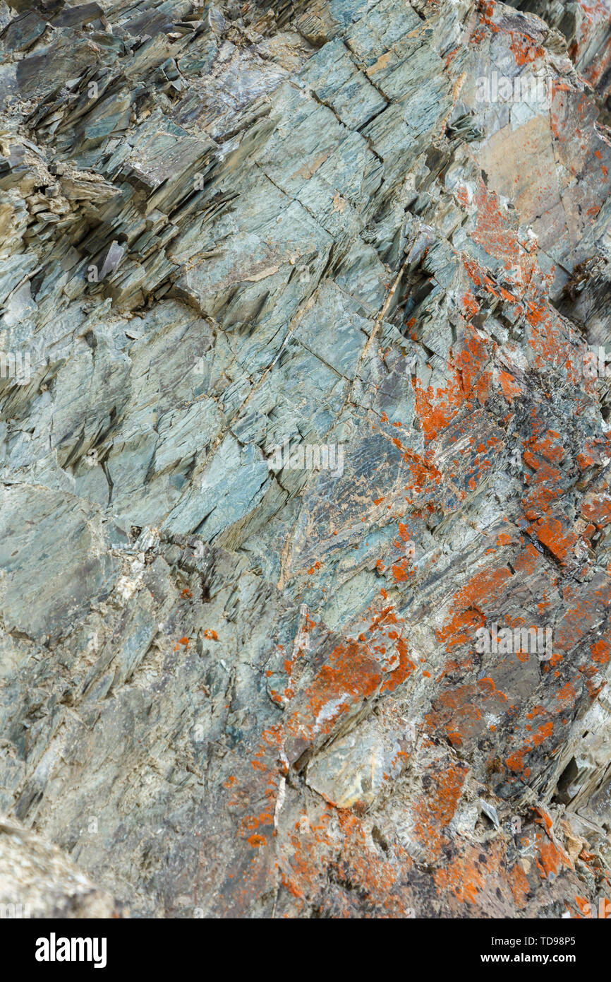 Arancione e verde Rock Texture di sfondo Foto Stock