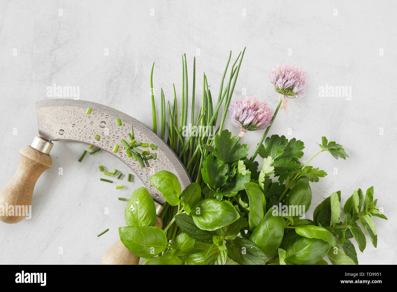 Mezzaluna coltello con un bouquet garni misto di erbe aromatiche e fiori di erba cipollina su un chiazzato sfondo grigio chiaro in una vista ravvicinata Foto Stock