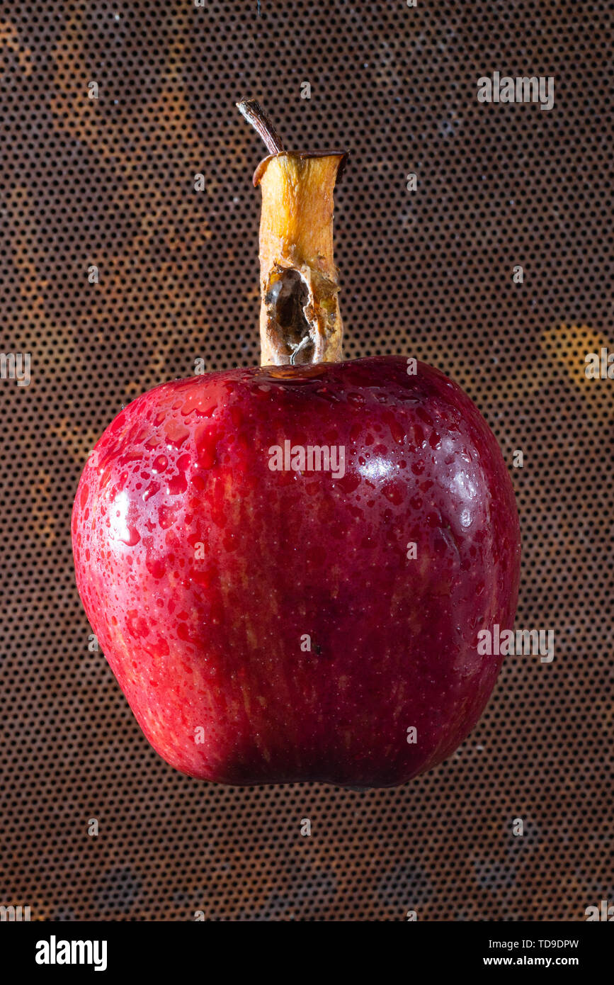 Red apple con cuore malato fluttuante nel vuoto nero Foto Stock