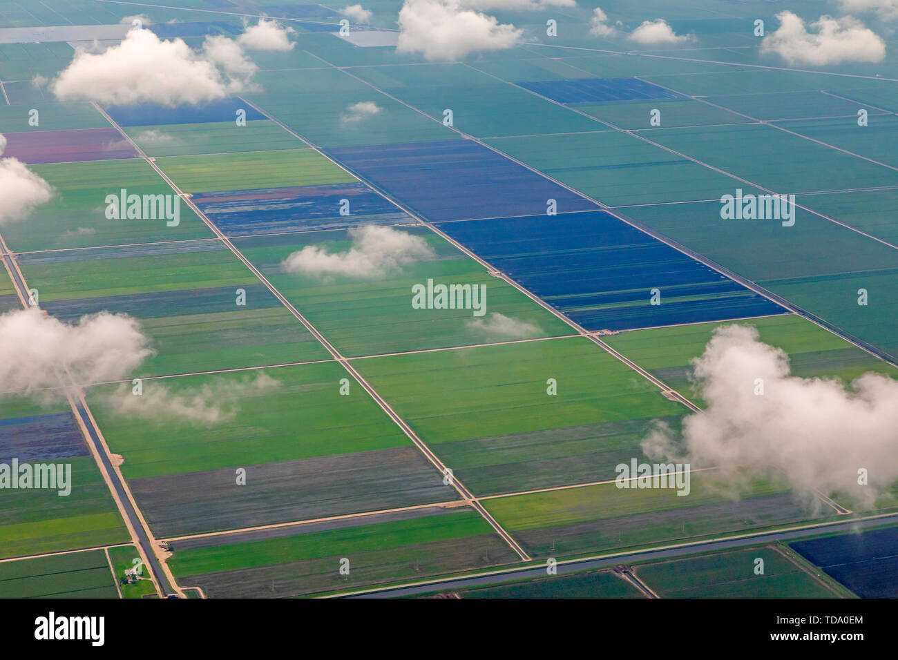 Belle Glade, Florida - Una veduta aerea di campi di fattoria vicino al lago Okeechobee in Florida del sud. Foto Stock