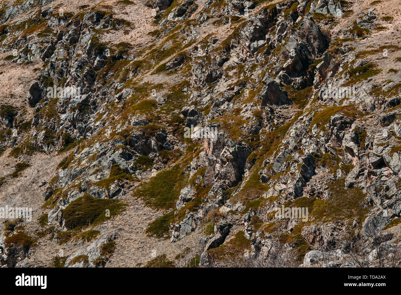 Foto e texture delle montagne di pietra nelle ore diurne Foto Stock