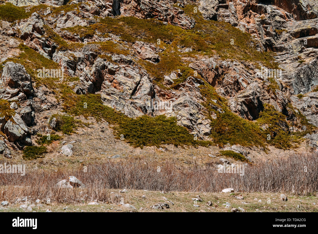 Foto e texture delle montagne di pietra nelle ore diurne Foto Stock