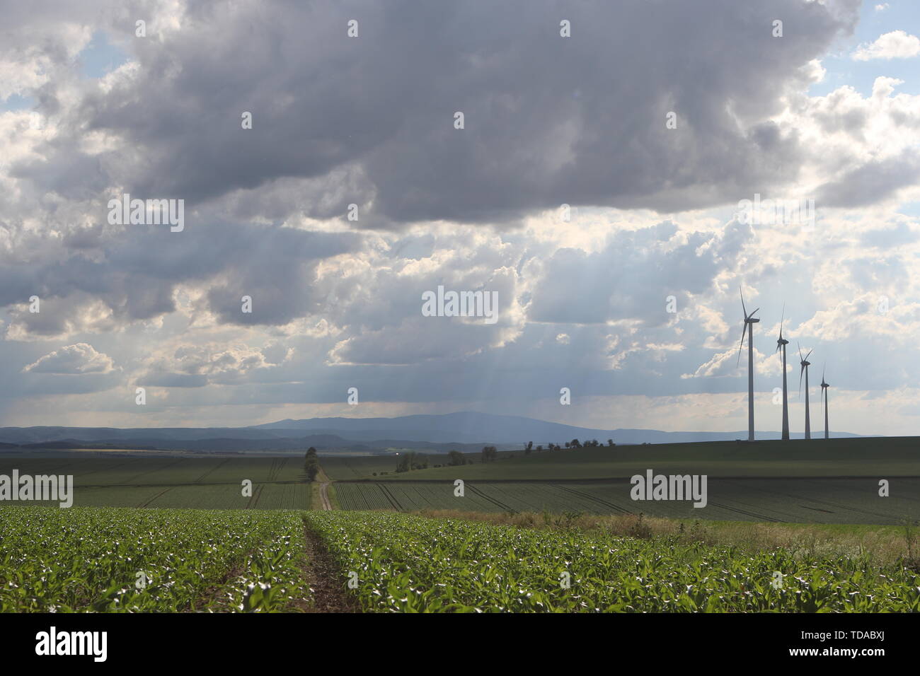 Hergisdorf, Germania. Xiii Giugno, 2019. Tempesta le nuvole sono ampi attraverso le Montagne Harz vicino Hedersleben. Sullo sfondo si trova il Brocken. Credito: Matthias Bein/dpa-Zentralbild/ZB/dpa/Alamy Live News Foto Stock