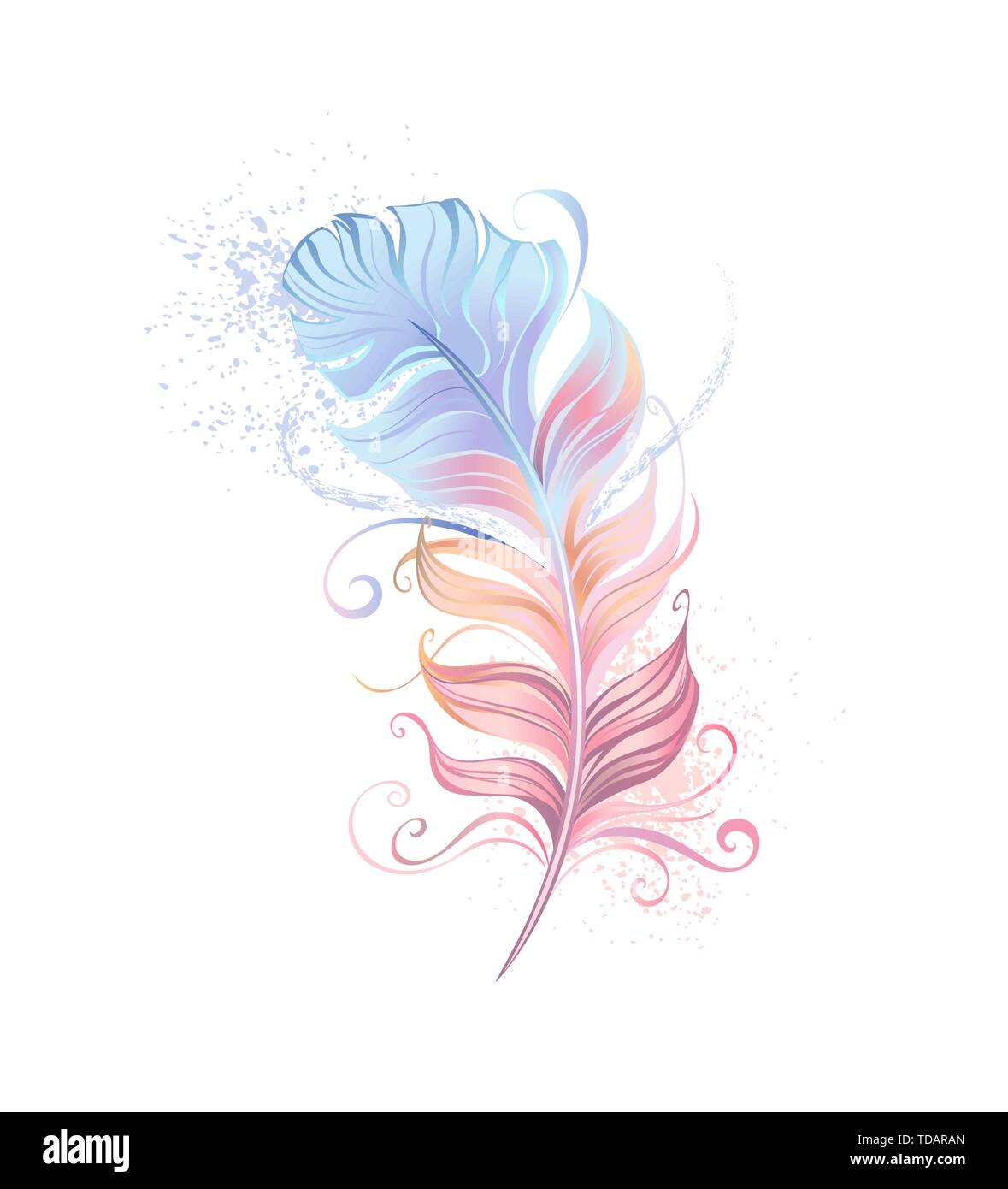 Bella feather dipinta in rosa e blu pastello su sfondo bianco. Illustrazione Vettoriale