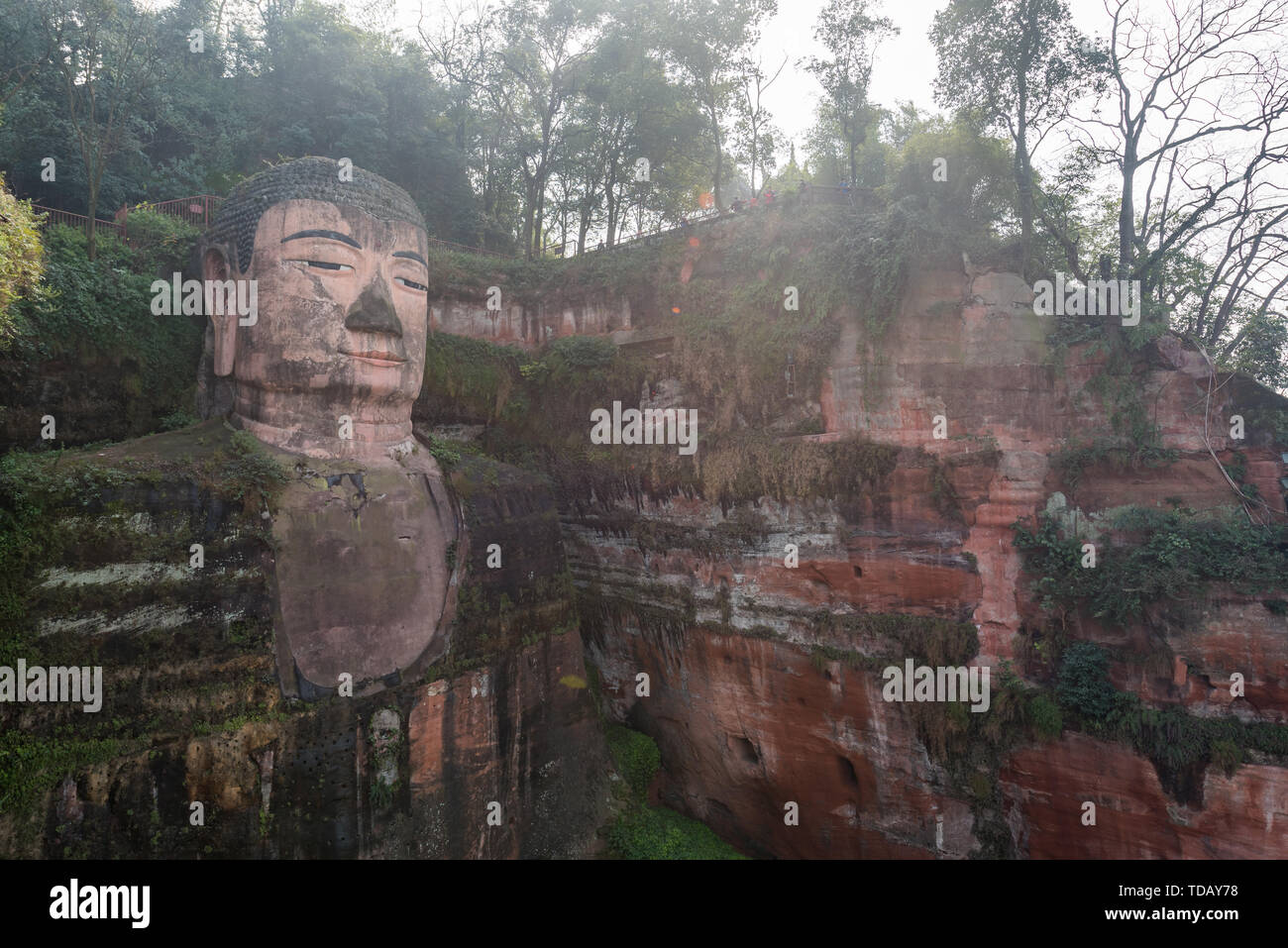 Statua del Grande Buddha di Leshan, Sichuan Foto Stock