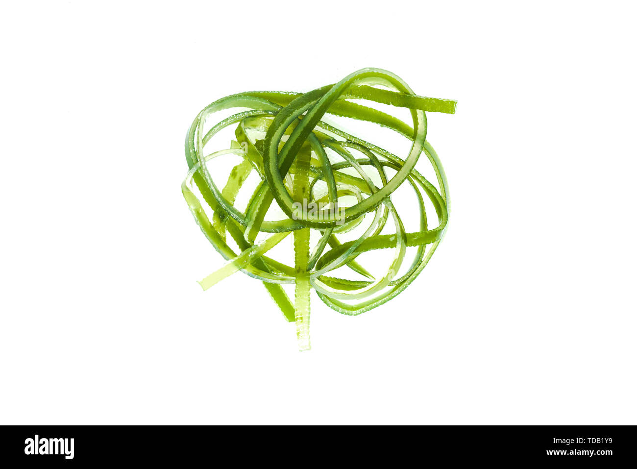La seta di kelp su sfondo bianco Foto Stock