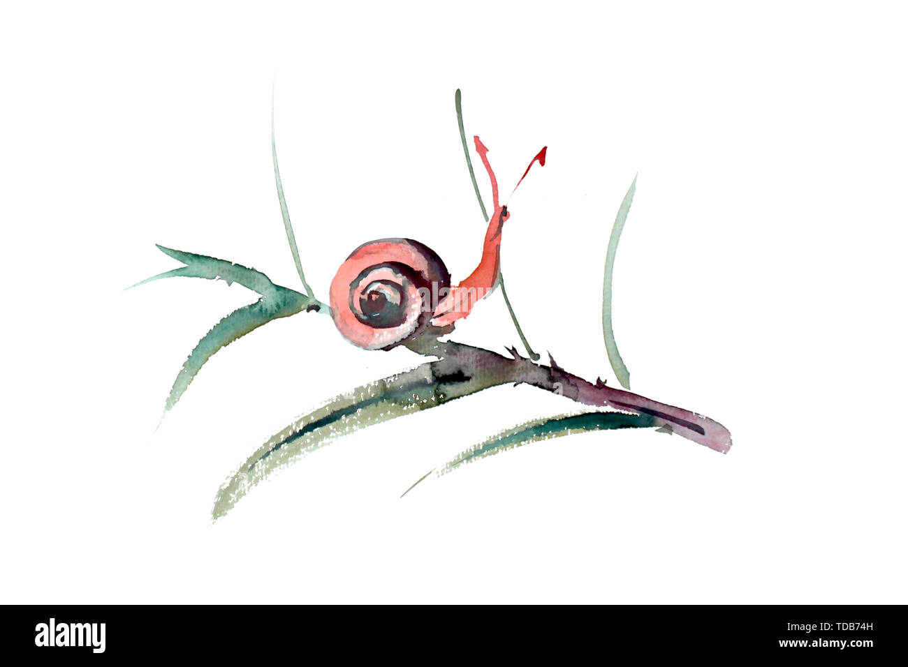 Lumaca illustrazione cartoon a spirale natura divertente carino strisciando segno della shell Foto Stock