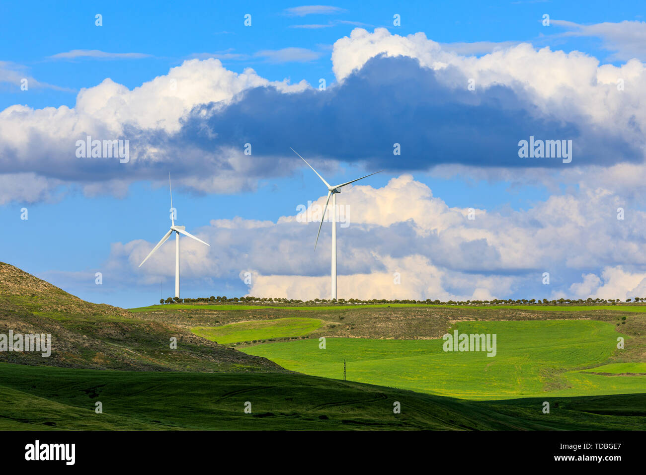 Le turbine eoliche in giorno di cielo blu, vento, nuvole e verdi campi di grano. Foto Stock