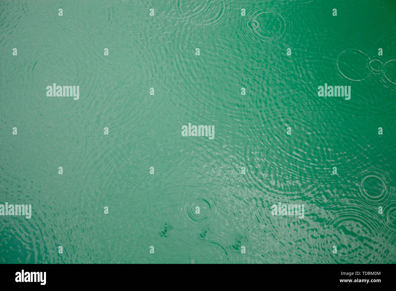 Gocce di pioggia cerchi sul lago verde della superficie dell'acqua. Texture acqua. Foto Stock