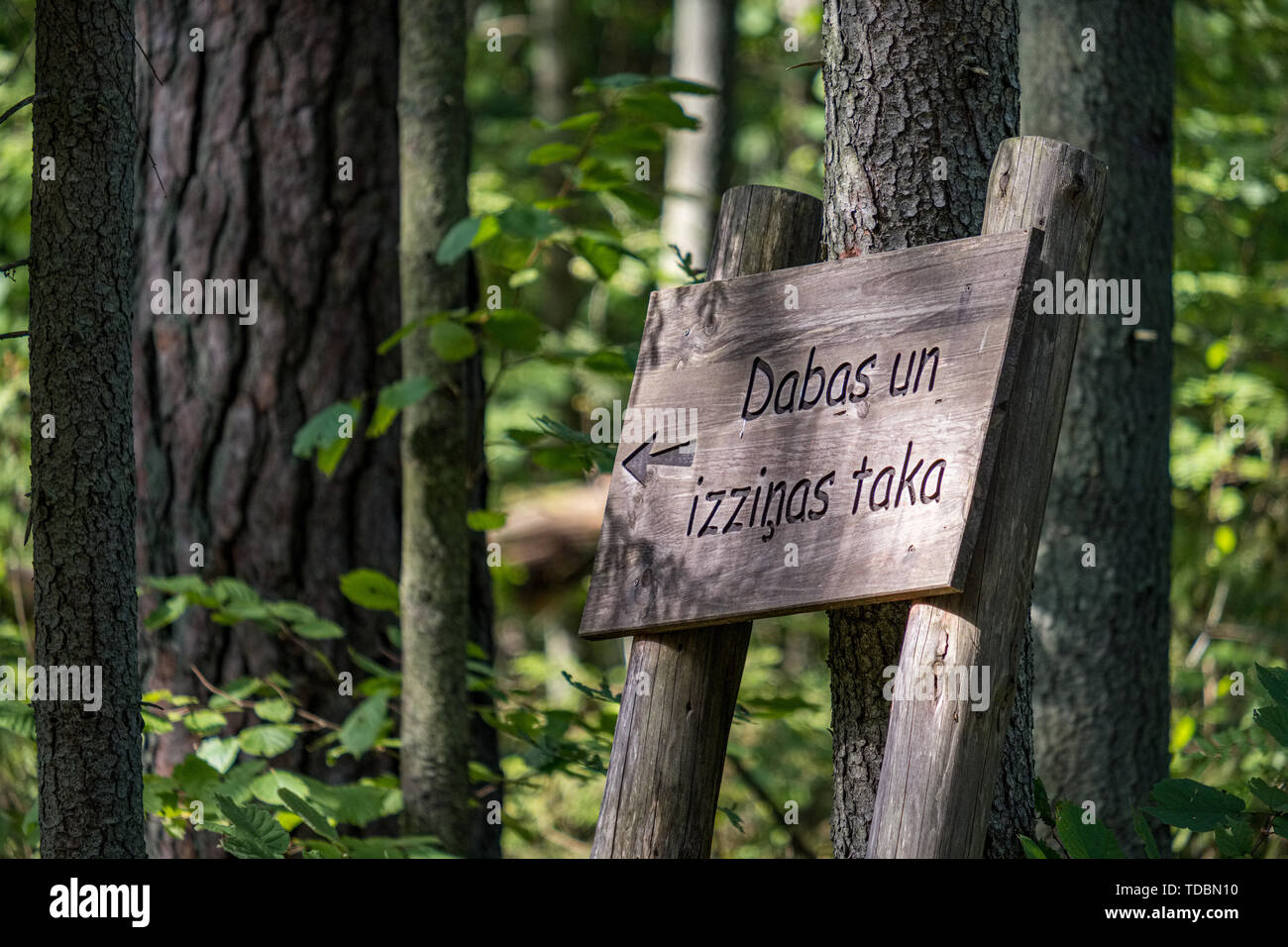 Direzione turistica segni nella foresta fatta di tavole di legno Foto Stock