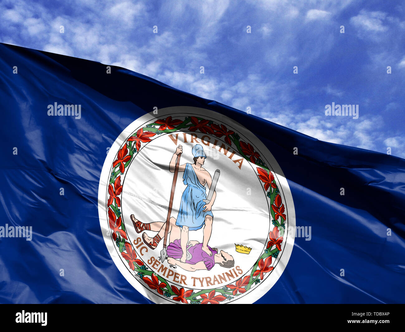 Sventola bandiera di Stato della Virginia vicino fino contro il cielo blu Foto Stock