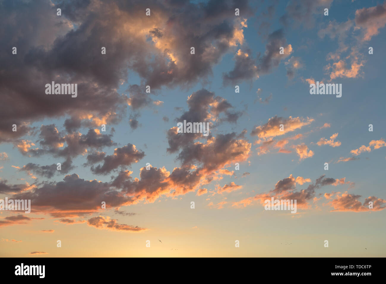 Foto di le nuvole colorate durante il tramonto su un cielo blu Foto Stock