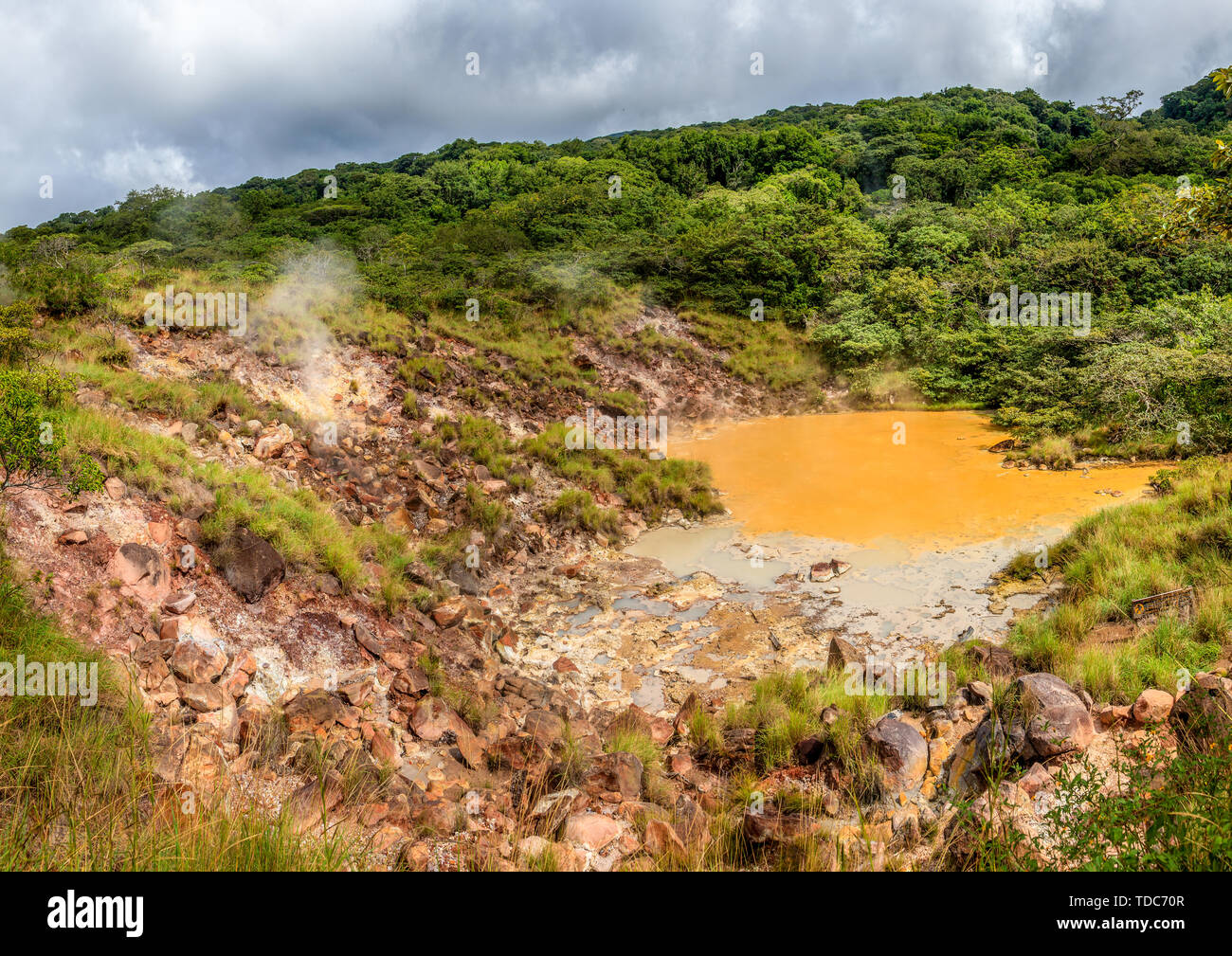 Vista di fango caldo in piscina a Rincon de la Vieja National Park in Costa Rica Foto Stock