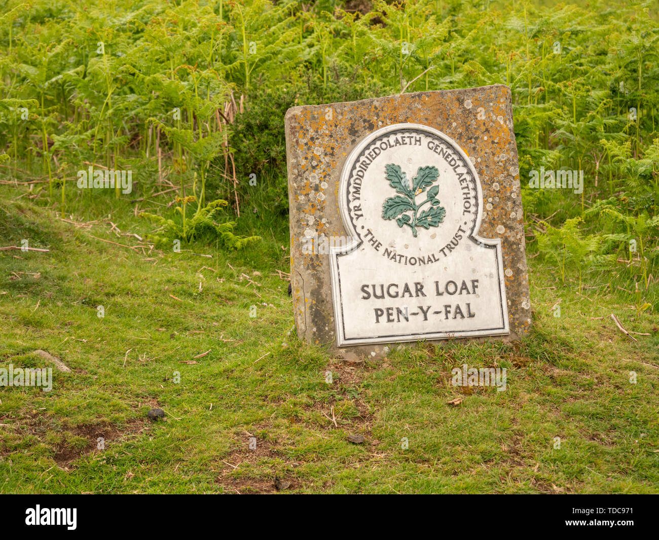 Il segno per il pan di zucchero o Pen Y Fal una montagna in Brecon Beacons Wales UK di proprietà del National Trust Foto Stock