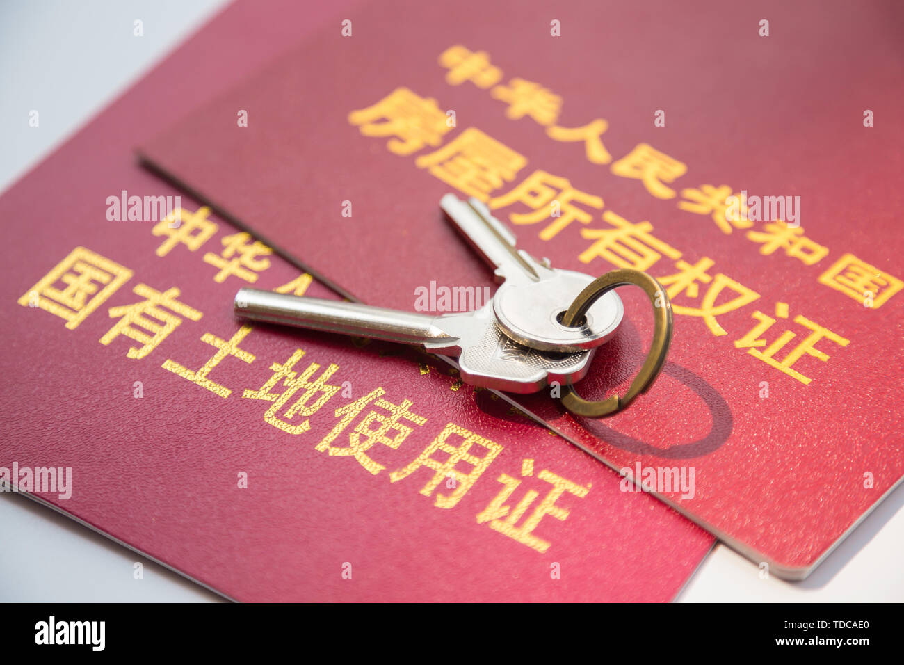 Certificato di proprietà del titolo Foto Stock