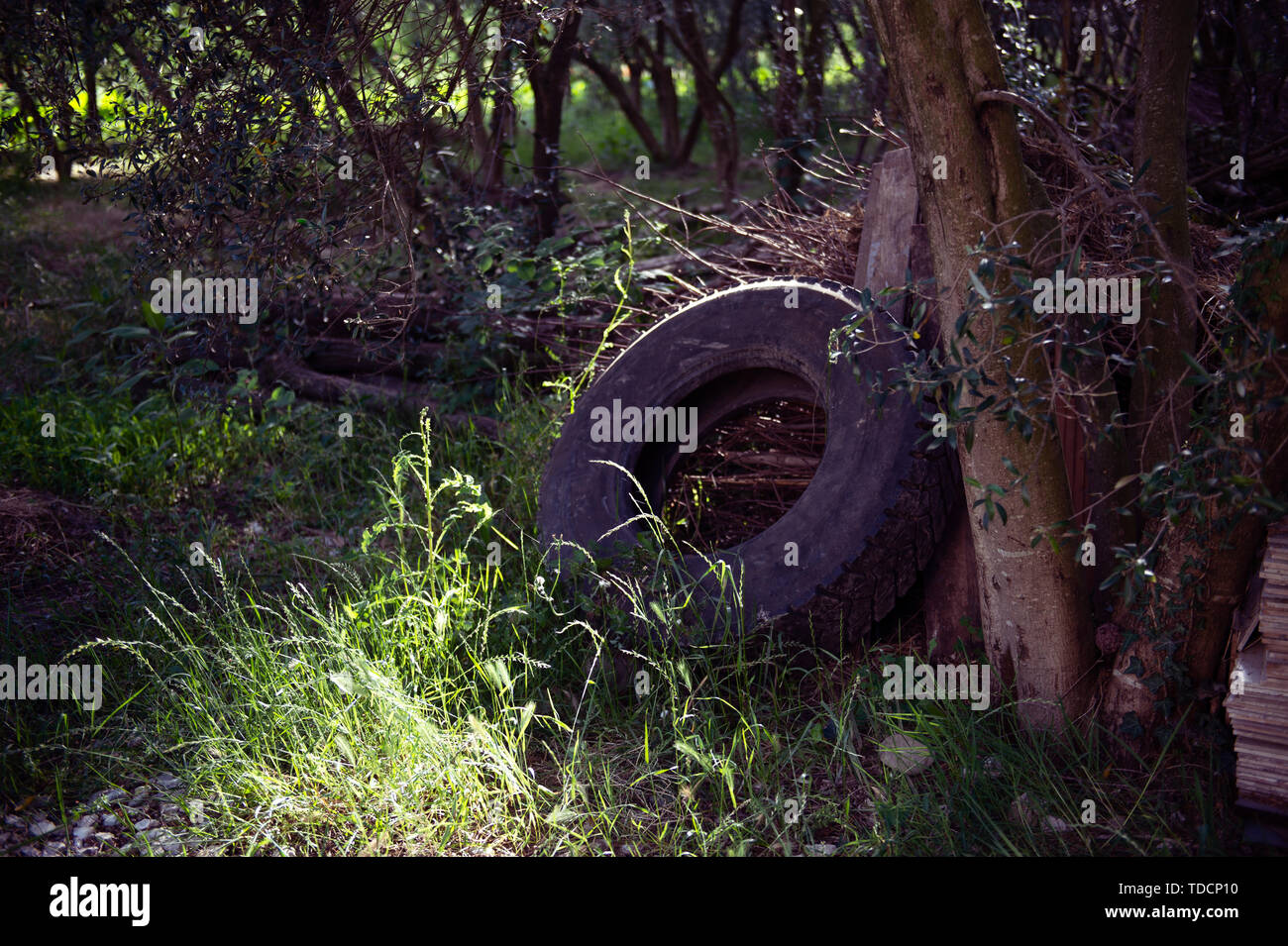 Vecchia auto pneumatici sprecato in natura Foto Stock